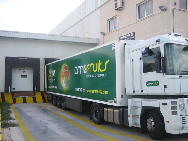 Amefruits