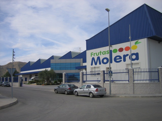Frutas Molera